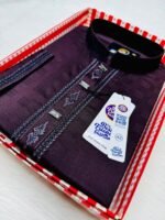 Festive Panjabi. - Image 5